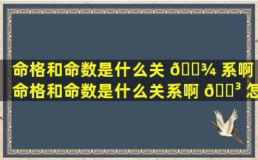 命格和命数是什么关 🌾 系啊「命格和命数是什么关系啊 🌳 怎么看」